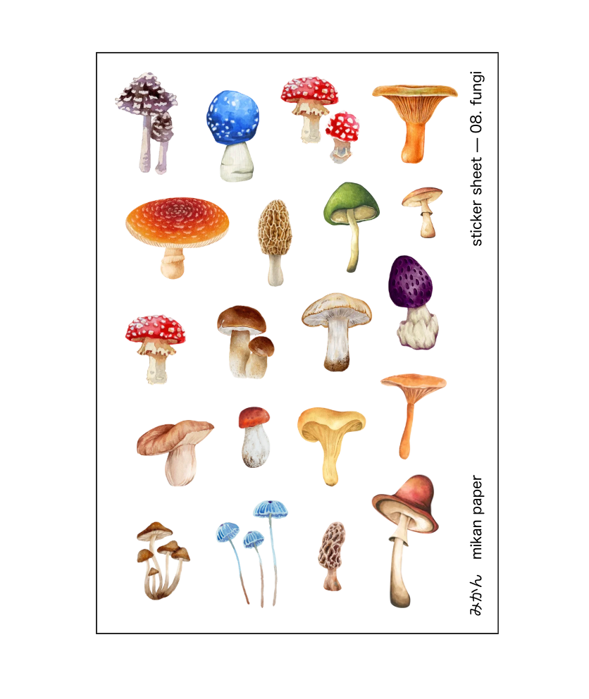 Paper Tool 08 · Fungi