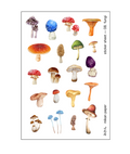 Paper Tool 08 · Fungi de Mikan Paper, diseño original de la sticker sheet de honguitos.